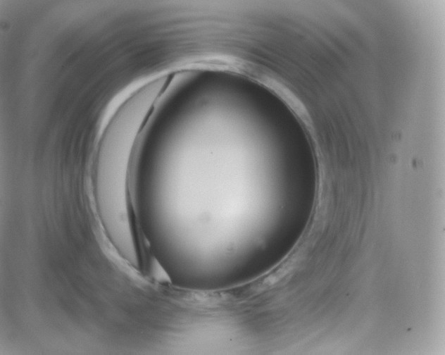 X0000081490960200701262050