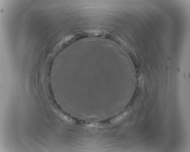 X0000081490961200701262050