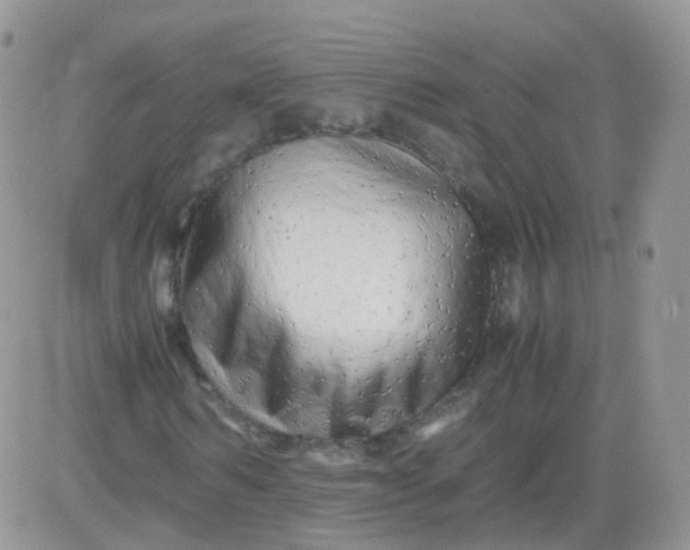 X0000081490962200701262049