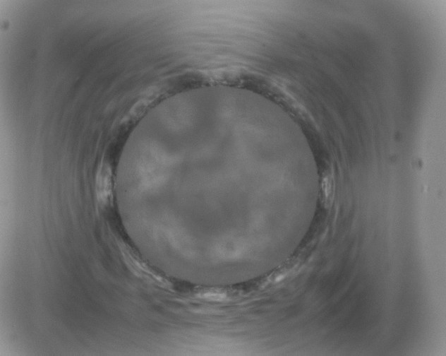 X0000081490963200701262049