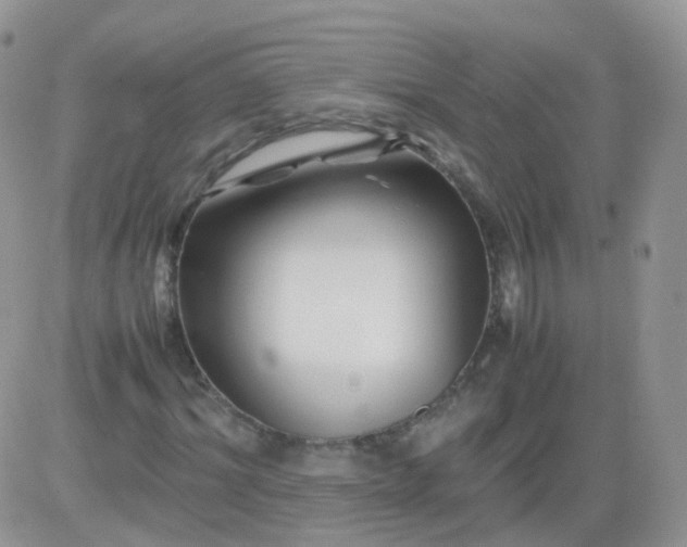 X0000081490964200701262049