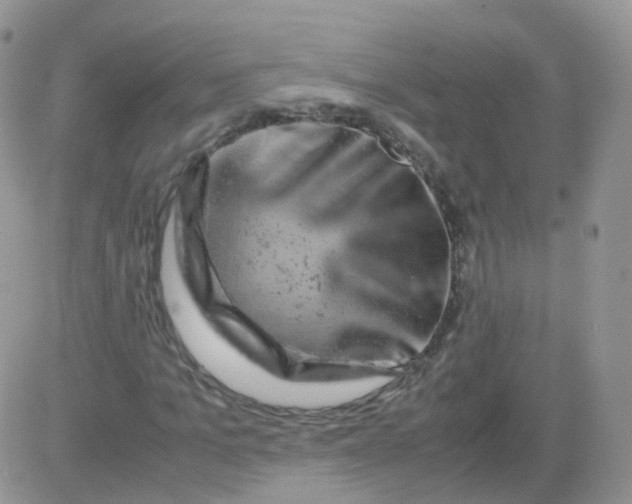 X0000081490965200701262049