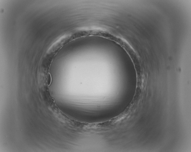 X0000081490967200701262049