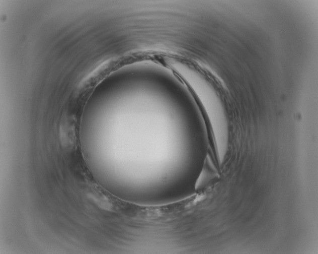 X0000081490968200701262049