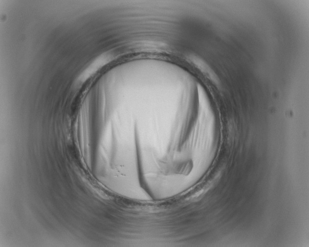 X0000081490970200701262049