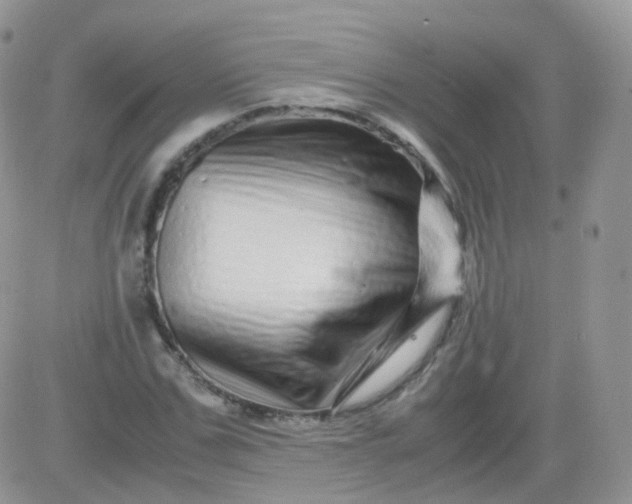 X0000081490971200701262049