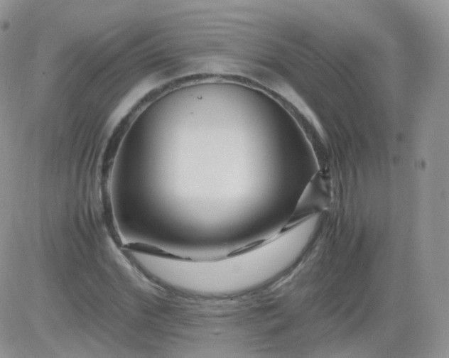 X0000081490972200701262049