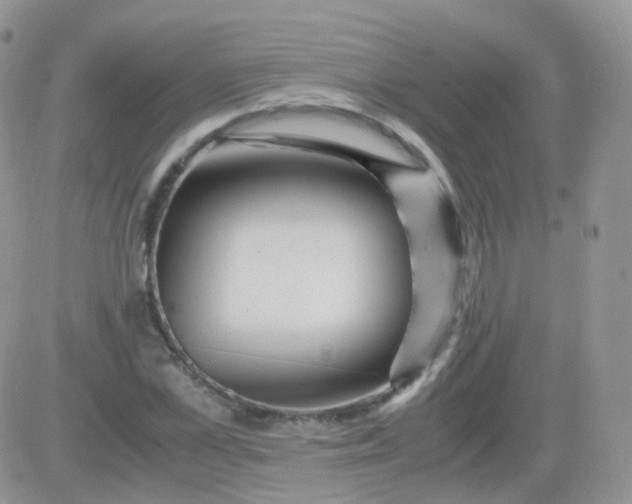 X0000081490973200701262049