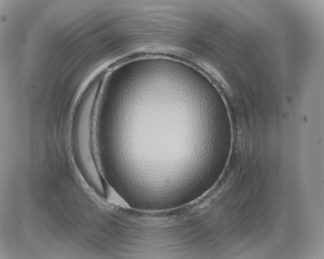 X0000081490976200701262049