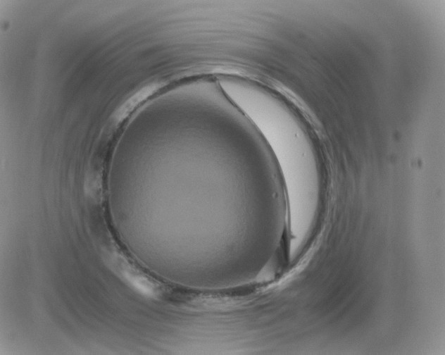 X0000081490977200701262049