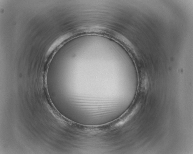 X0000081490978200701262049