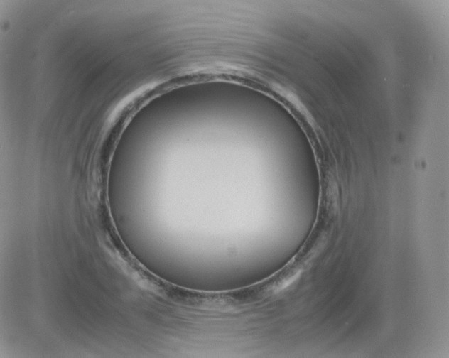 X0000081490979200701262049