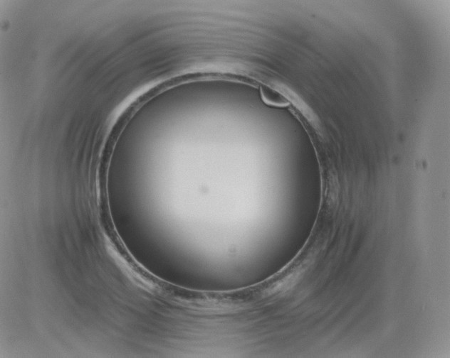 X0000081490980200701262049