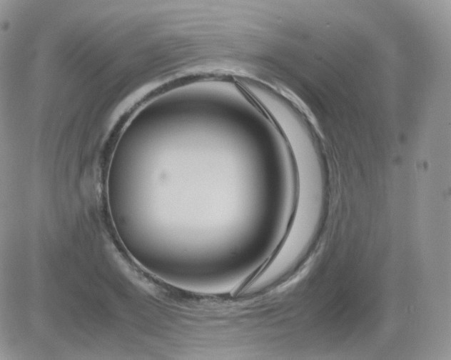 X0000081490981200701262049