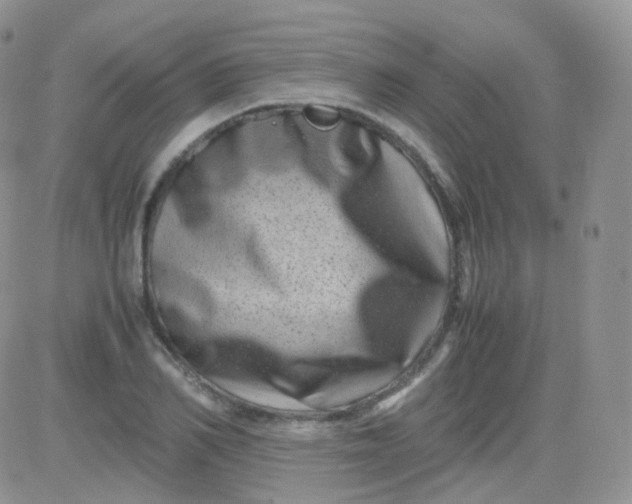 X0000081490982200701262049