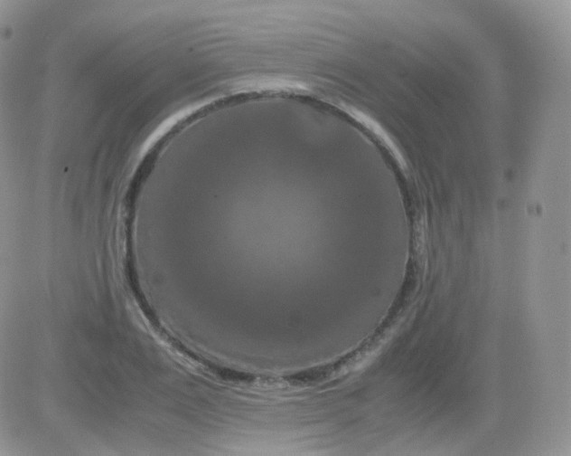 X0000081490983200701262049