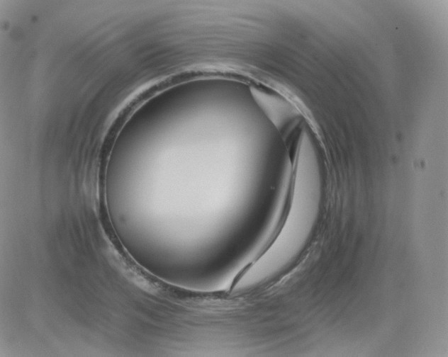 X0000081490984200701262049