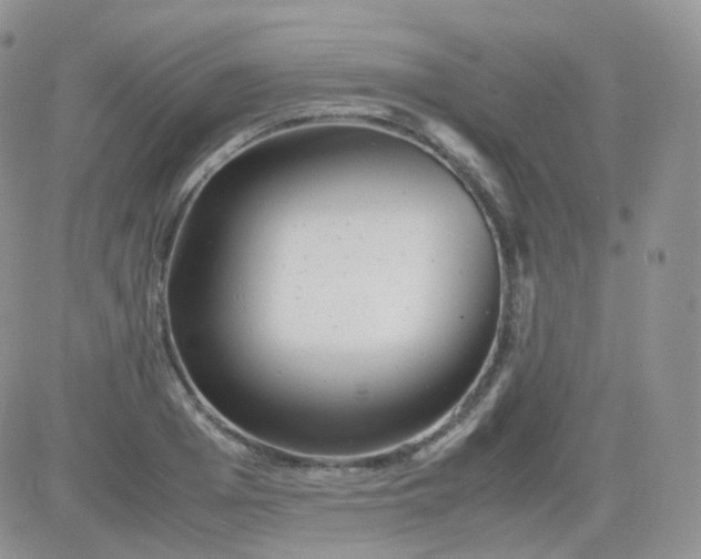 X0000081490985200701262049