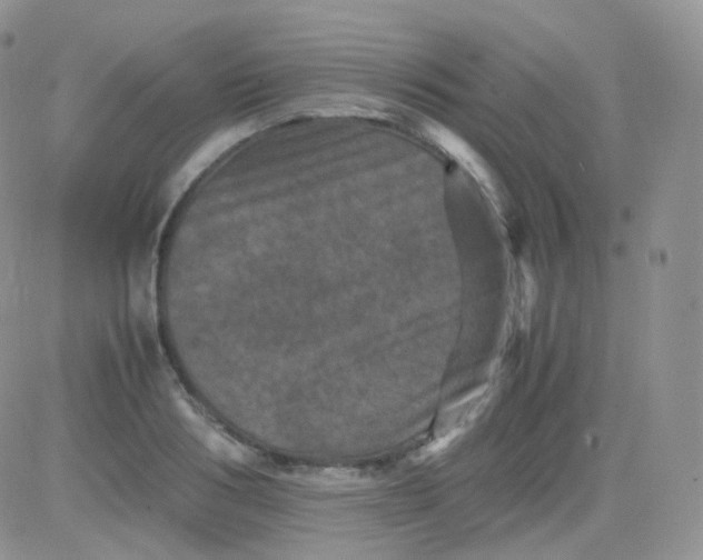 X0000081490986200701262049