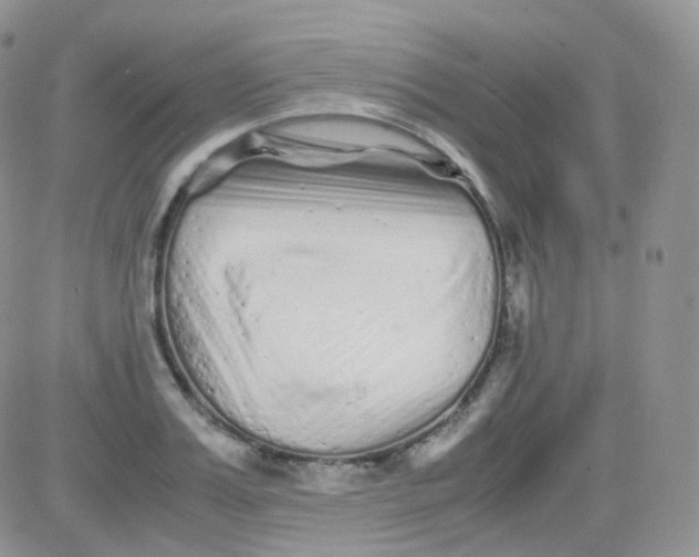 X0000081490987200701262049