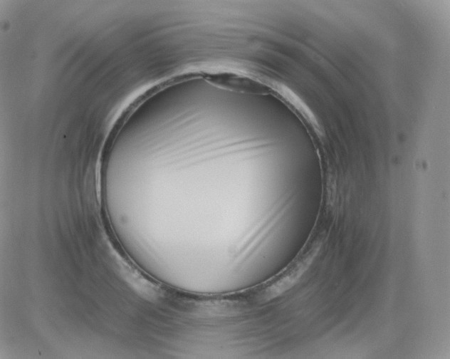 X0000081490988200701262049