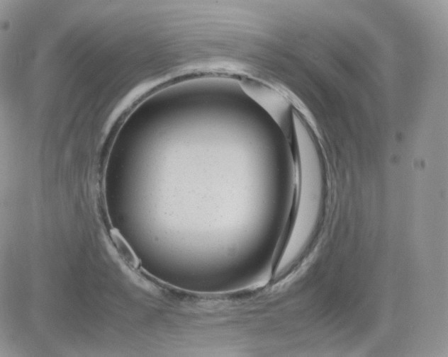 X0000081490989200701262049