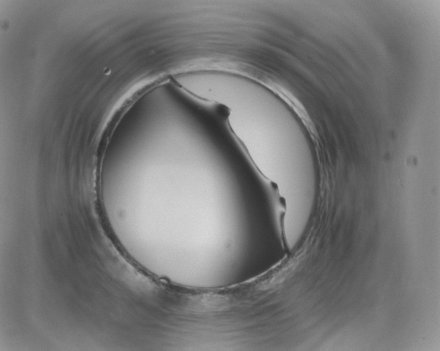 X0000081490992200701262049