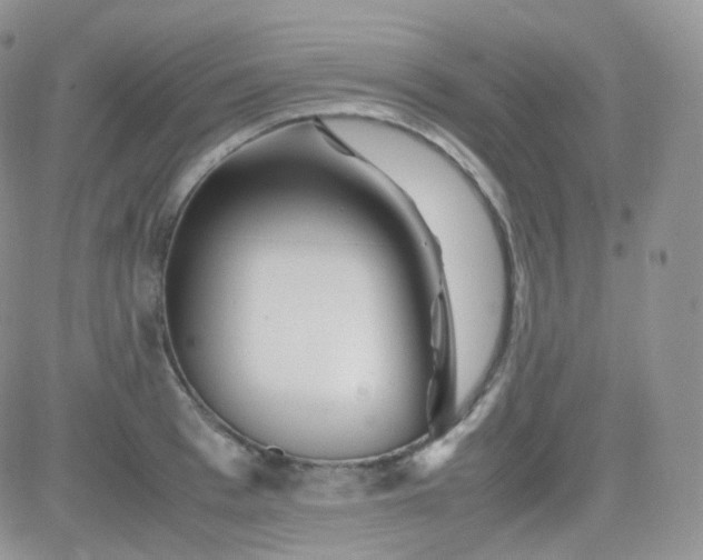 X0000081490993200701262049