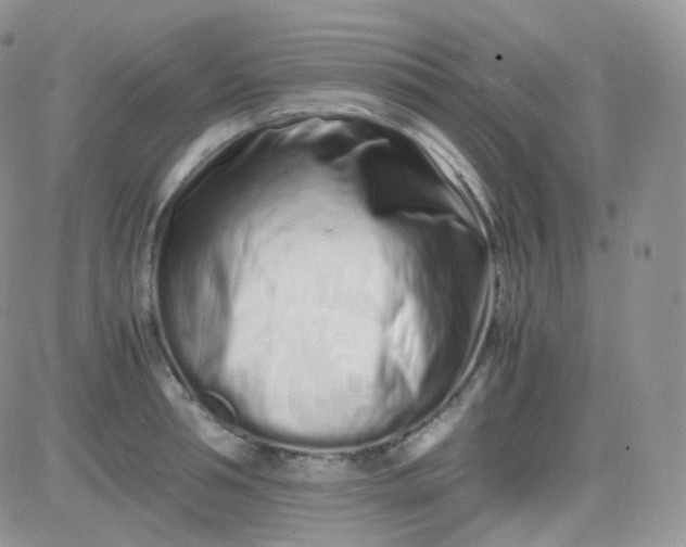 X0000081490994200701262049