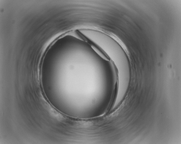 X0000081490996200701262049