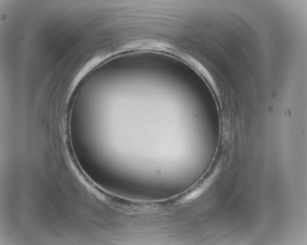 X0000081490997200701262049