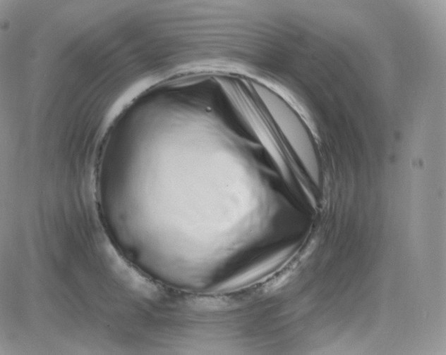 X0000081490998200701262049