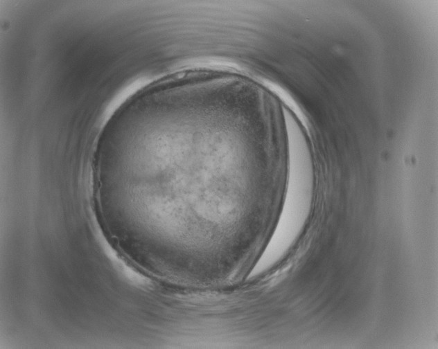 X0000081490999200701262049