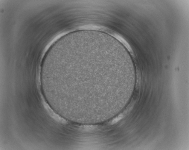 X0000081491000200701262049