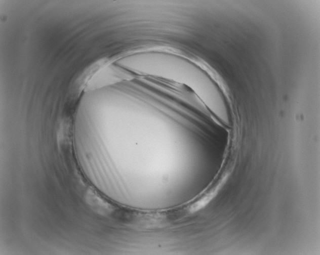 X0000081491001200701262049