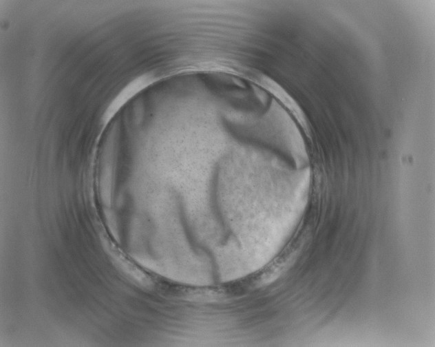 X0000081491002200701262049