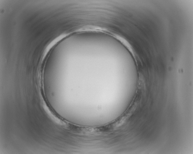 X0000081491003200701262049