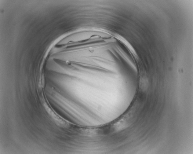 X0000081491004200701262049