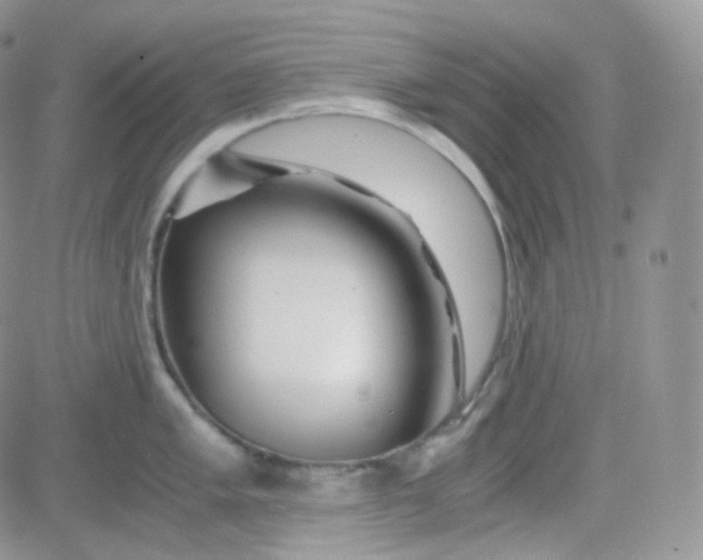 X0000081491005200701262049