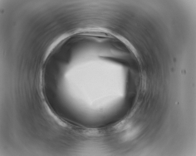 X0000081491006200701262049