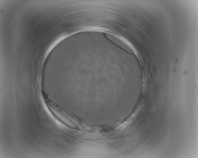 X0000081491007200701262049