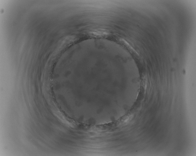 X0000081491009200701262048