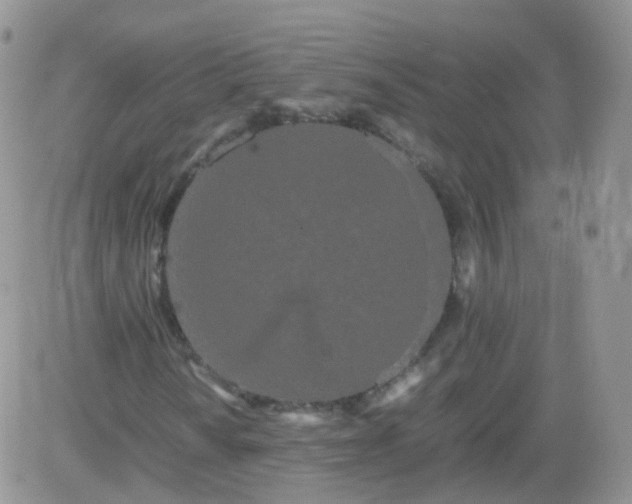 X0000081491010200701262048