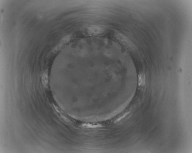 X0000081491011200701262048