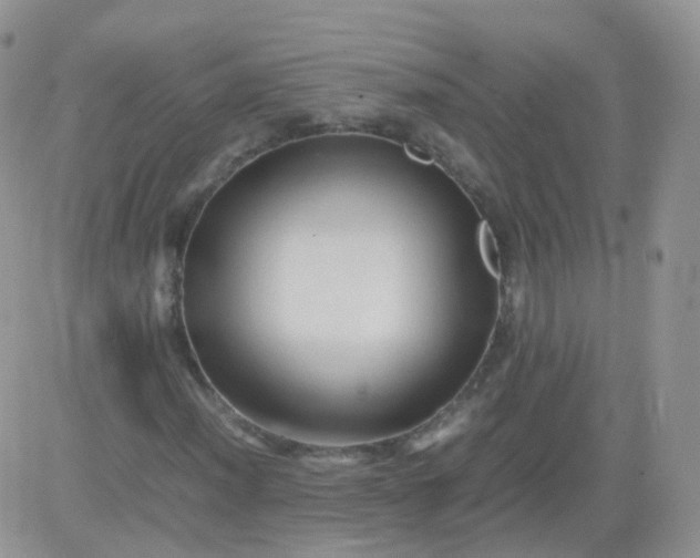 X0000081491012200701262048