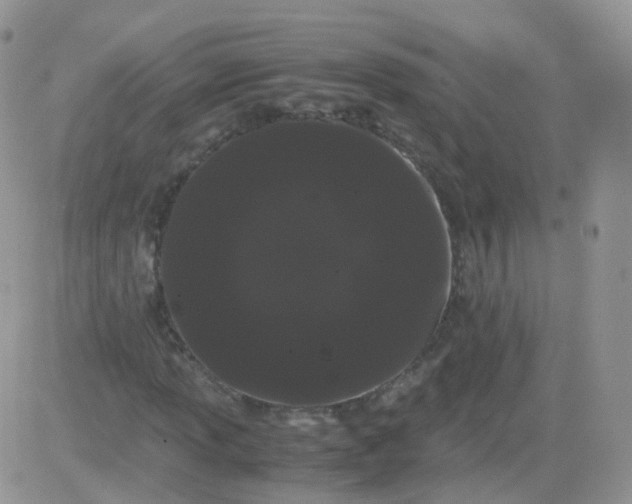 X0000081491013200701262048