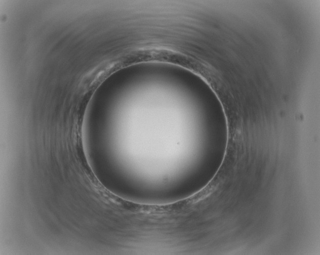 X0000081491014200701262048