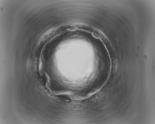 X0000081491016200701262048