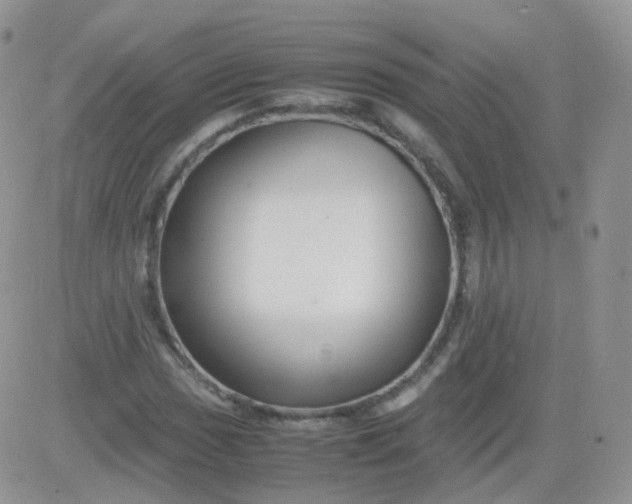 X0000081491017200701262048