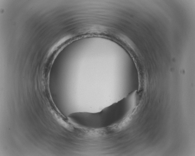 X0000081491018200701262048